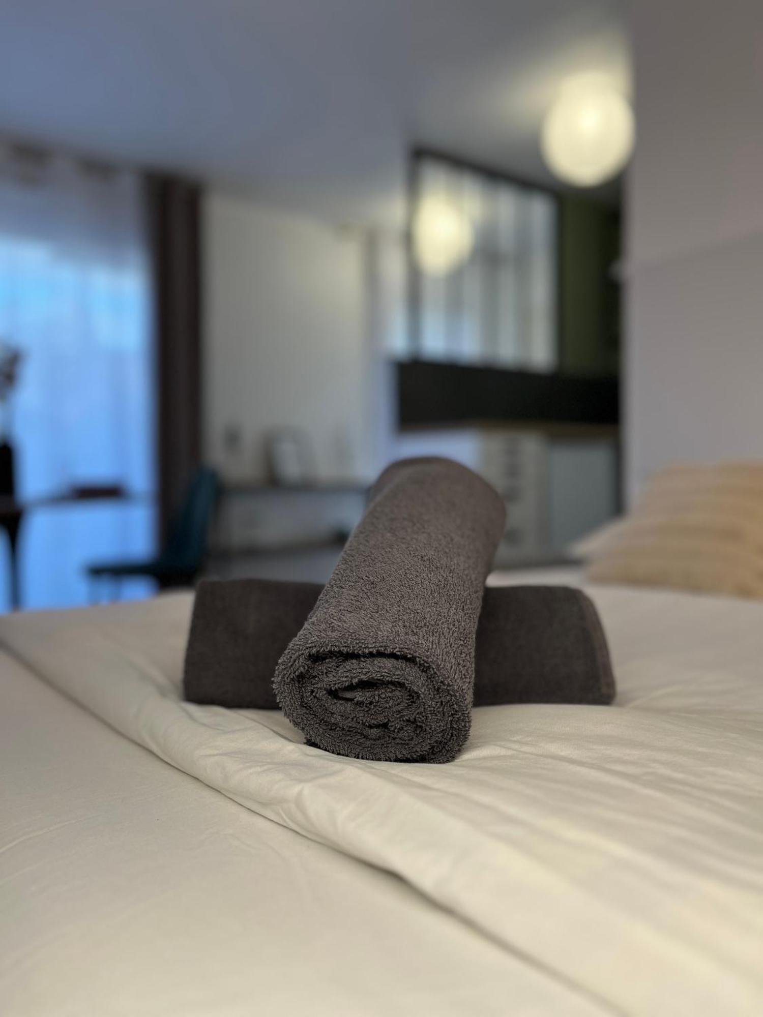 Petit Cocon Paisible Apartment เลอม็องส์ ภายนอก รูปภาพ